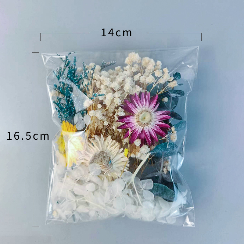 1pack Multifarious Dried Flowe - Craft Embellishment review and price