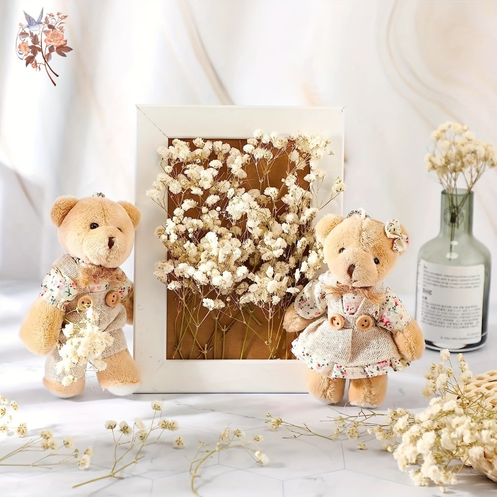 100pcs Mini Dried Baby's Breat - Craft Embellishment review and price